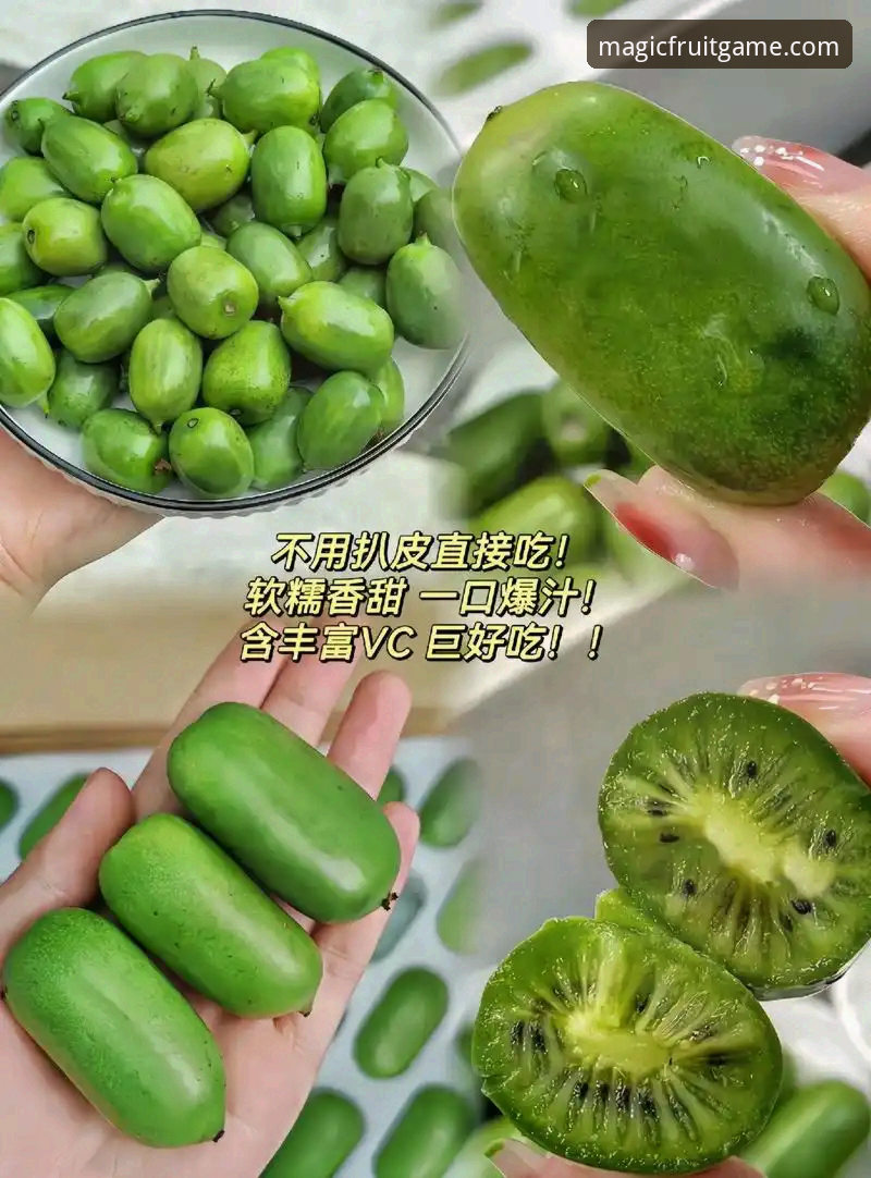奇异果体育苹果版下载不了怎么办 奇异果体育苹果版下载不了怎么办?3大维度9种实用解决方案